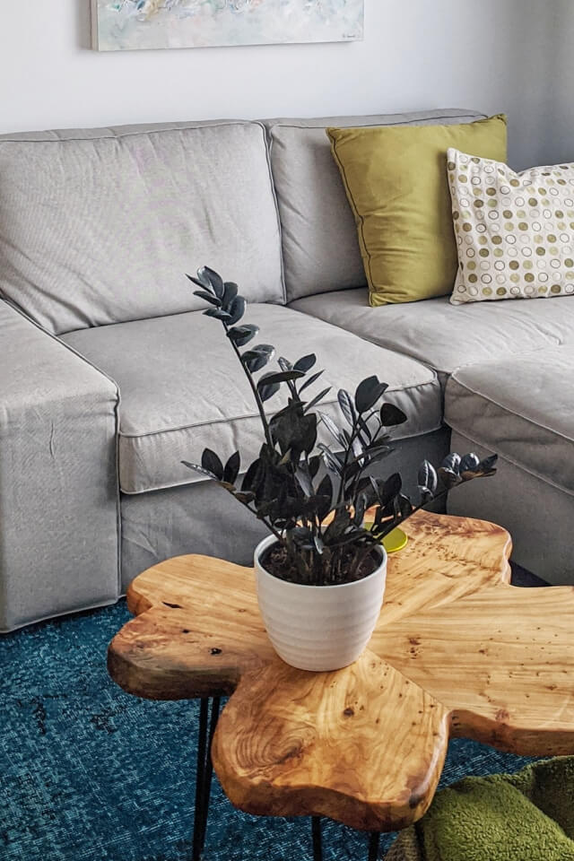 plants shop product gallery img 3 plants shop product gallery img 3